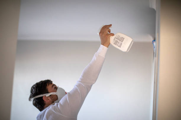 Best Certified Mold Removal  in Westwego, LA